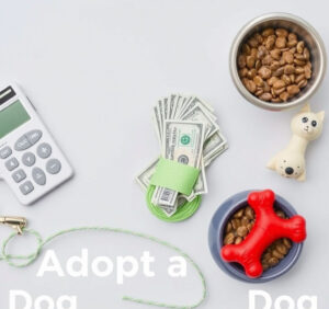 How Much Does It Cost to Adopt a Dog? A Full Breakdown